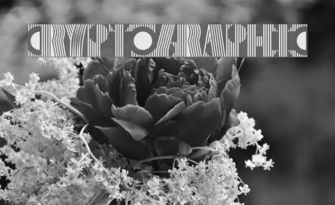 Cryptographic Font examples