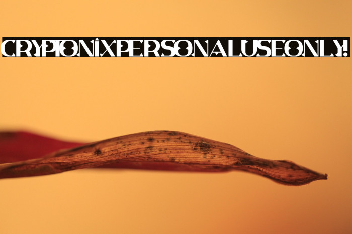 Cryptonix PERSONAL USE ONLY! Example 1