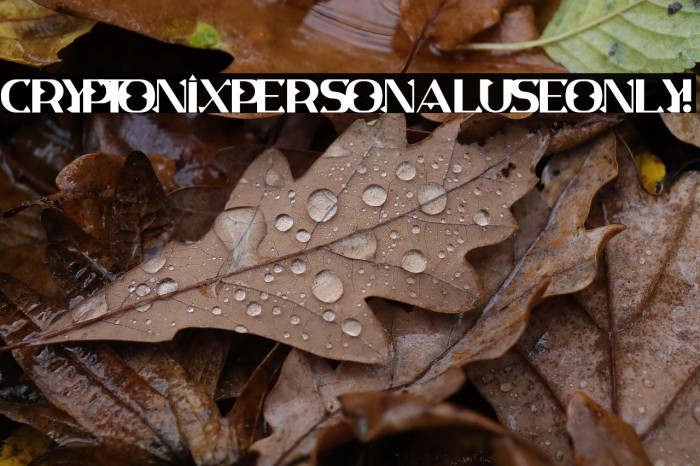 Cryptonix PERSONAL USE ONLY! Example 3