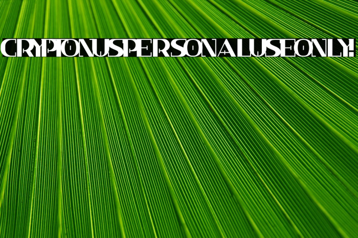 Cryptonus PERSONAL USE ONLY! Example 2