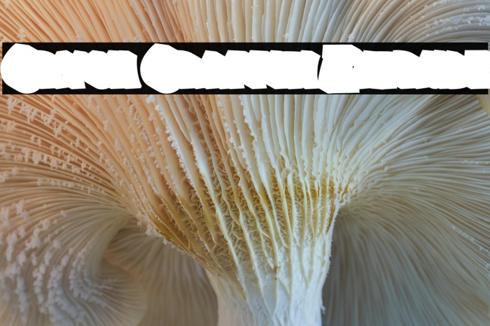 Crysh Graffiti Extrude Example 1