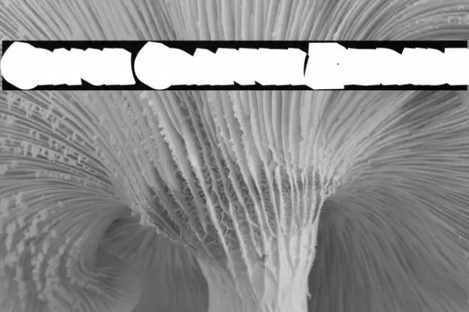 Crysh Graffiti Extrude Font examples