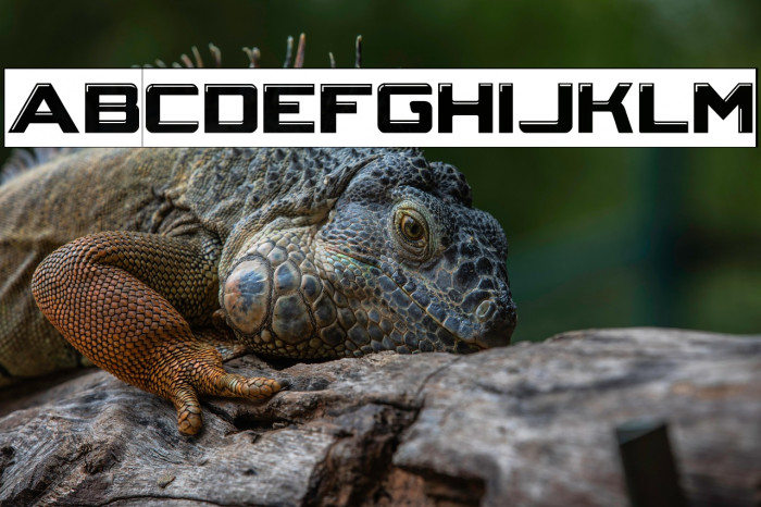 Crystal Core-Inverse Example 2