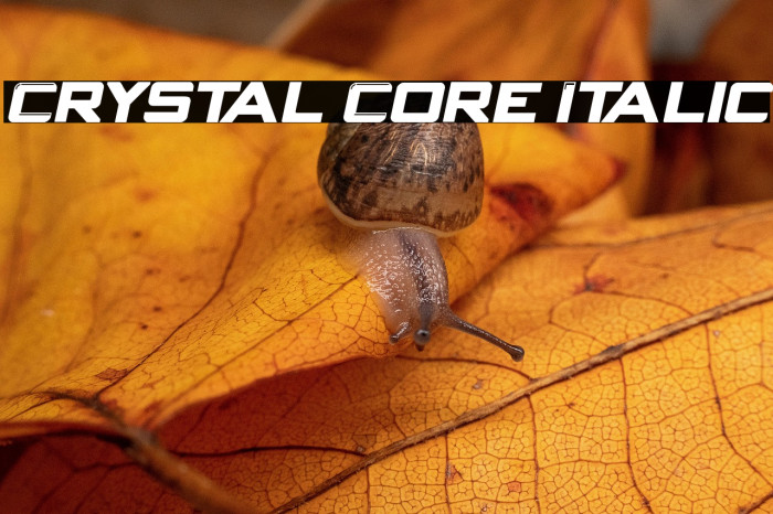 Crystal Core Italic Example 2