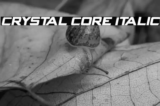 Crystal Core Italic Font examples