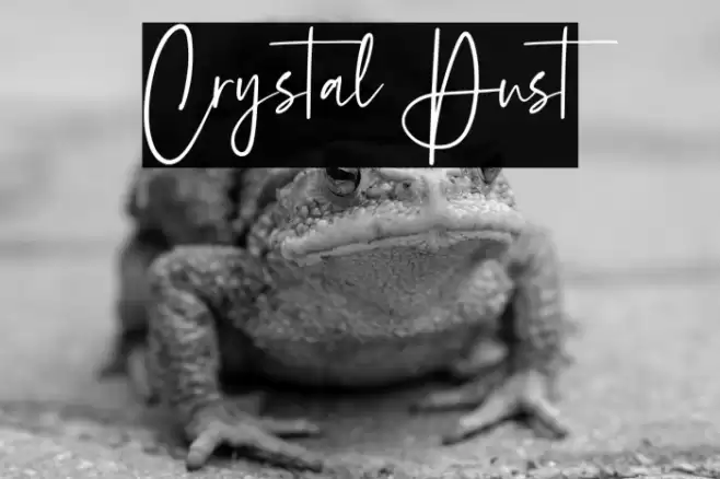 Crystal Dust Font examples