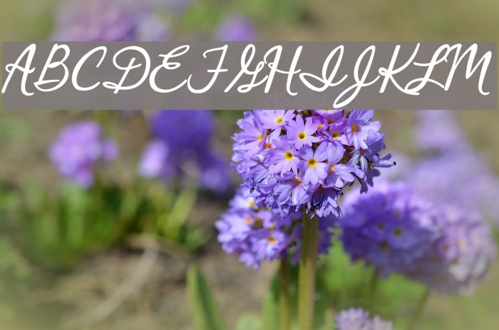 Crystal Heart Example 3