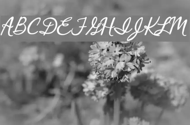 Crystal Heart Font examples