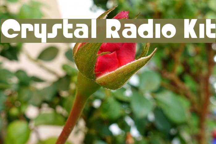 Crystal Radio Kit Polices examples