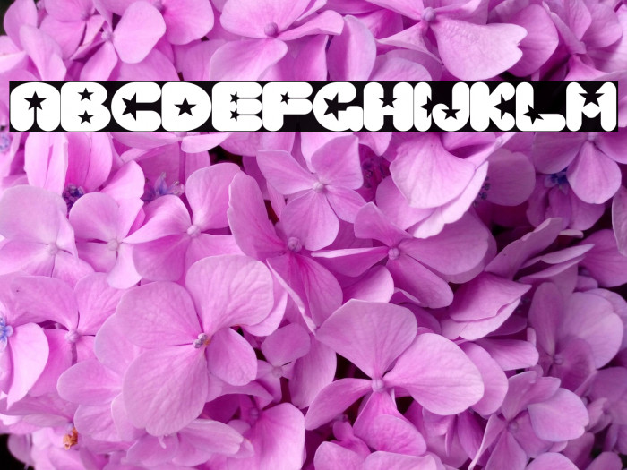 Crystal Universe Regular Example 1