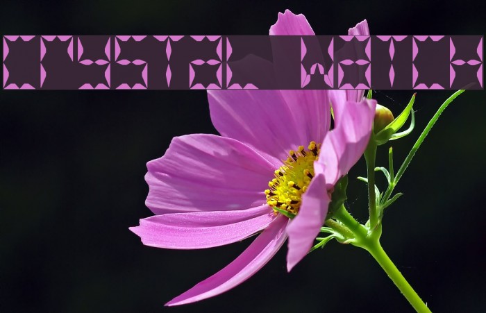 Crystal Watch Font examples