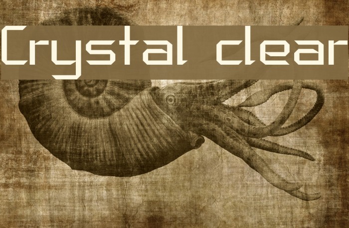 Crystal clear Font examples
