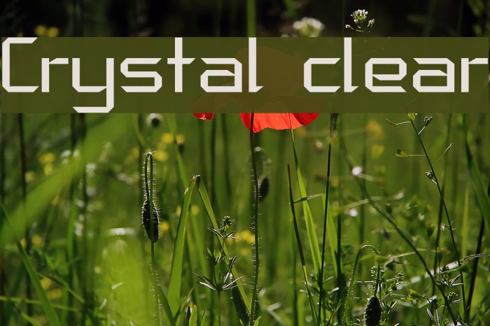 Crystal clear Font examples