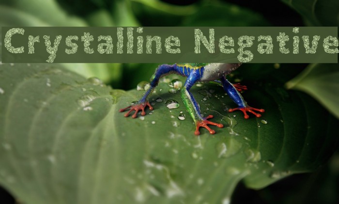 Crystalline Negative Font examples