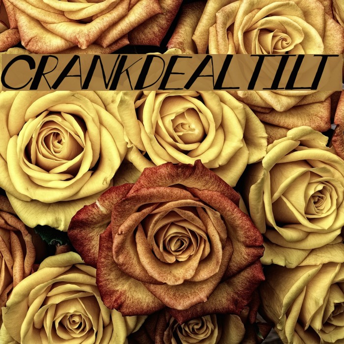 crankdeal tilt Example 2