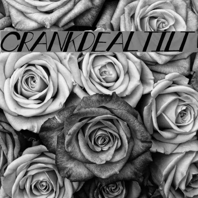 crankdeal tilt Font examples