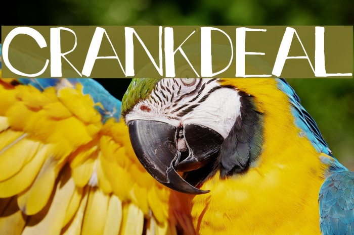 crankdeal Font examples