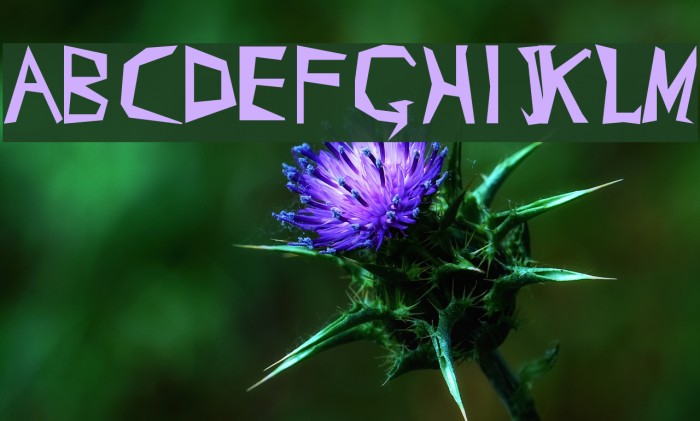 cray-zee Font examples