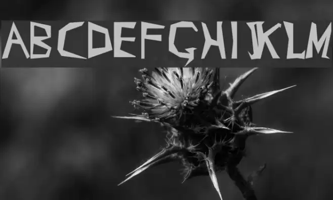 cray-zee Font examples