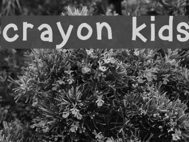 crayon kids Font examples
