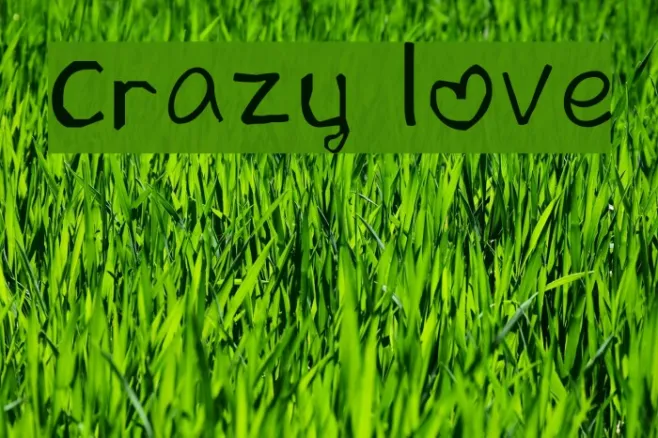 crazy love Example 3