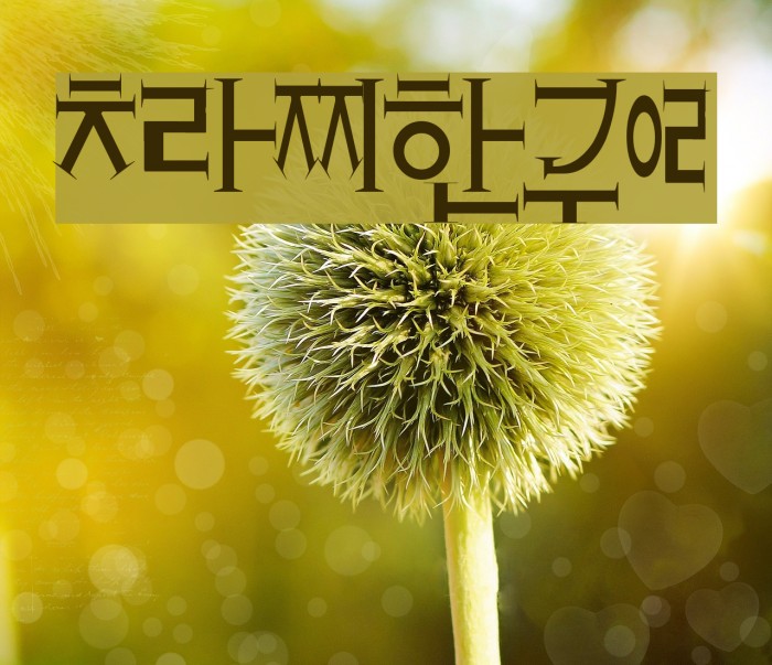 crazyhangul Font examples