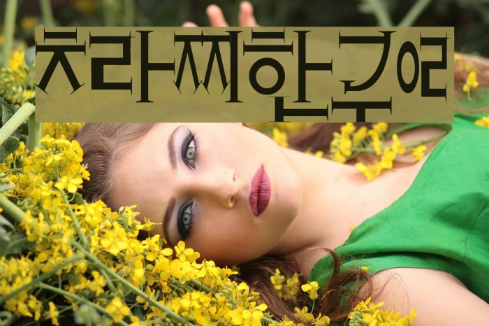 crazyhangul Font examples