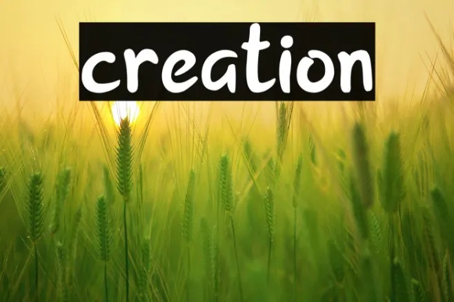 creation Example 2