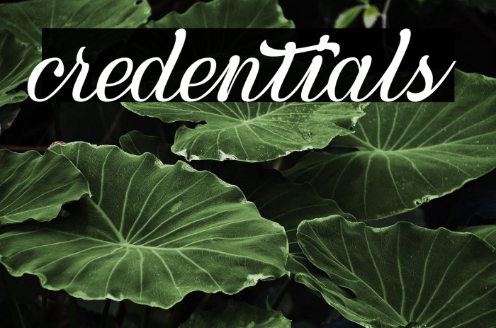 credentials Example 2