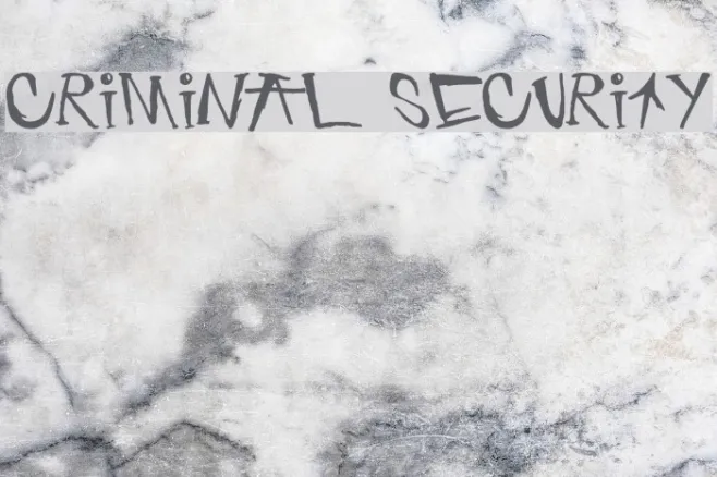 criminal security Example 1