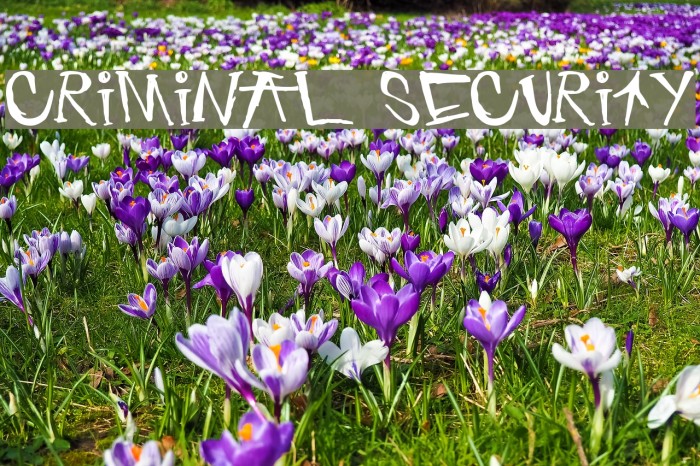 criminal security Font examples