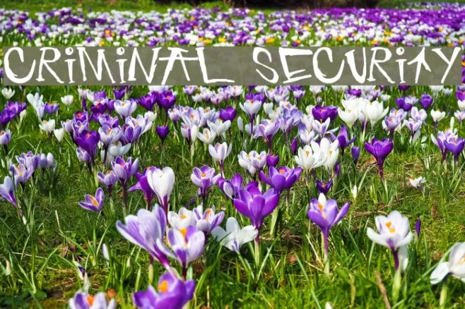 criminal security Example 2