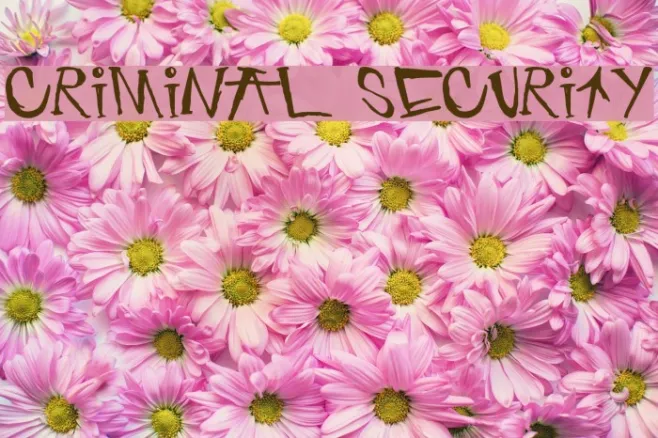 criminal security Example 3