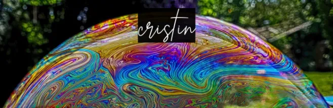 cristin Example 1