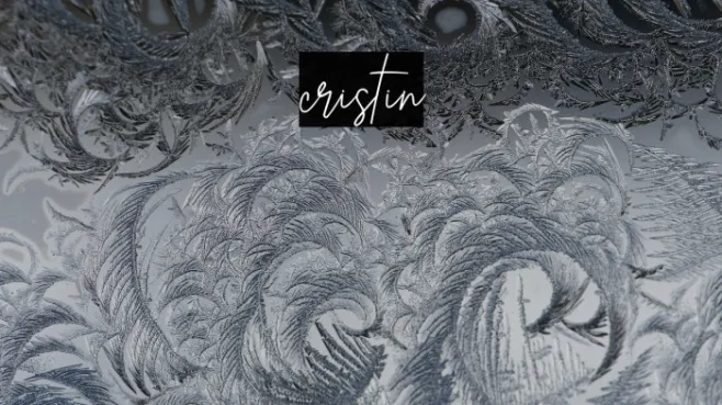cristin Example 2