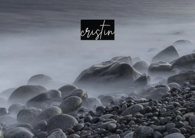 cristin Example 3