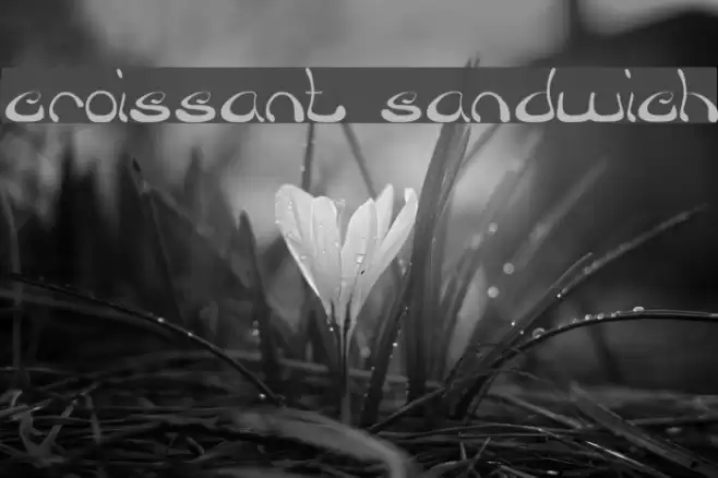 croissant sandwich Font examples