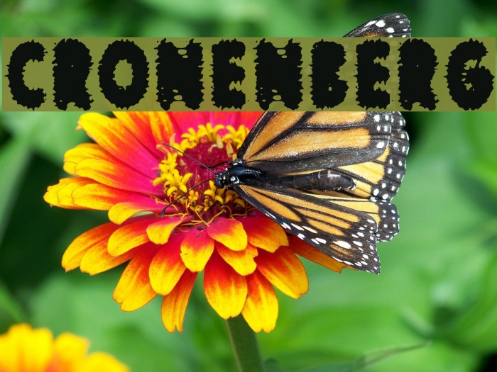 cronenberg Font examples