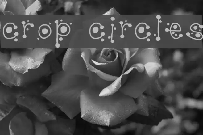 crop circles Font examples