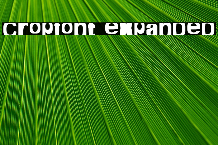 cropfont expanded Font examples