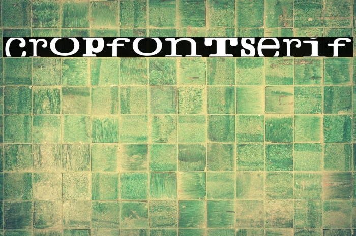 cropfontserif Font examples