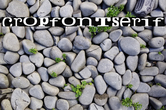 cropfontserif Font examples