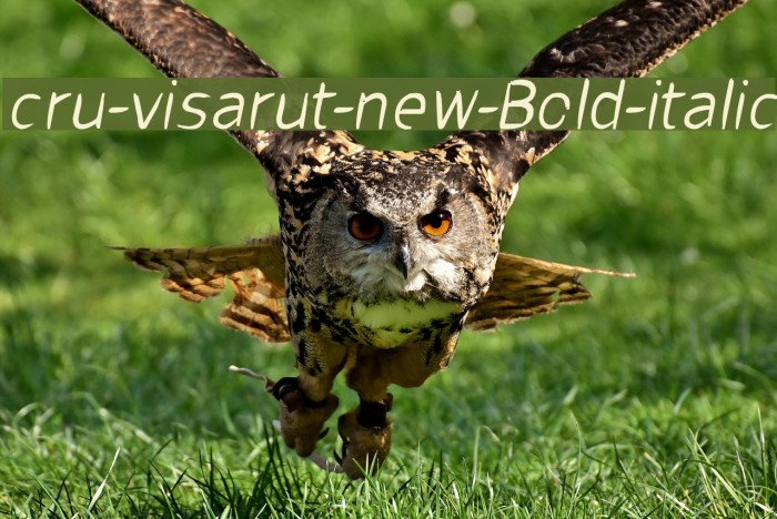 cru-visarut-new-Bold-italic Font examples