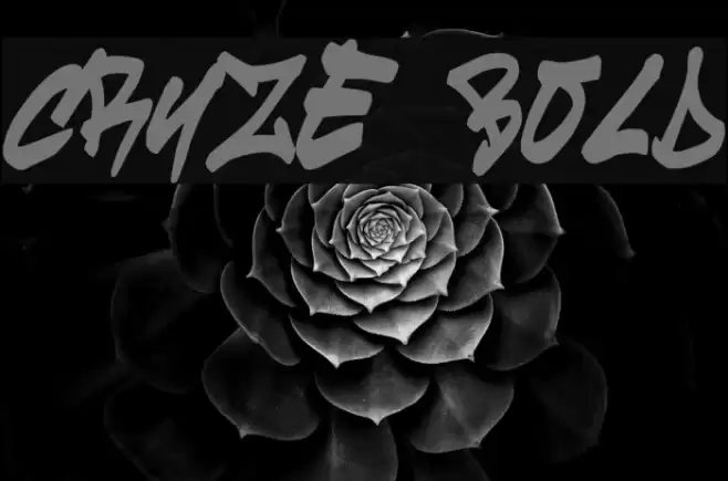 cruze Bold Font examples