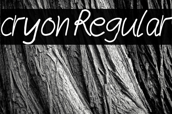 cryon Regular Font examples