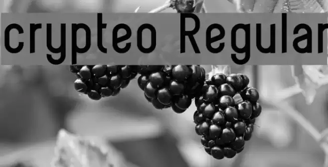 crypteo Regular Font examples