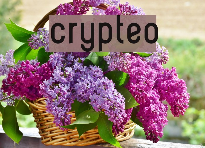 crypteo Font examples