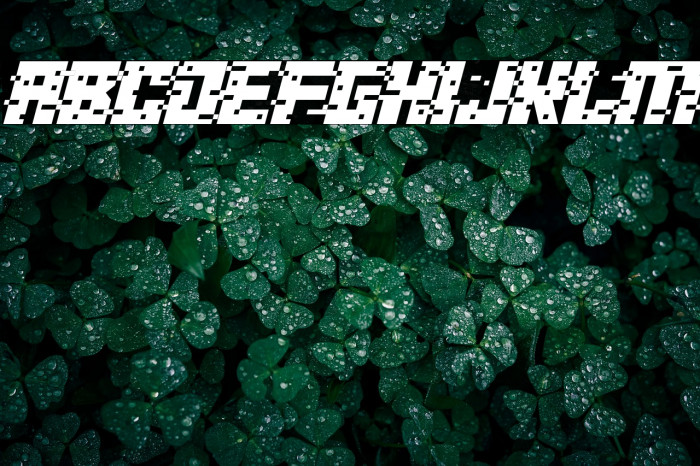 crypto CRASH Italic Example 2