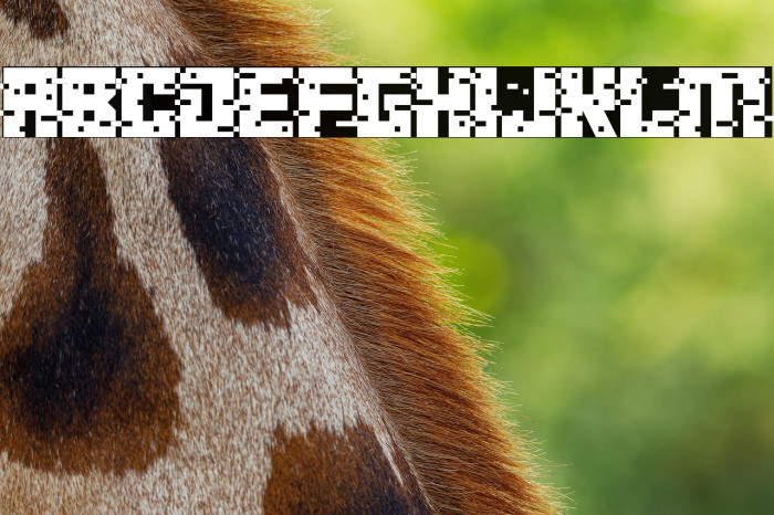 crypto CRASH Example 1