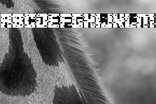 crypto CRASH Font examples